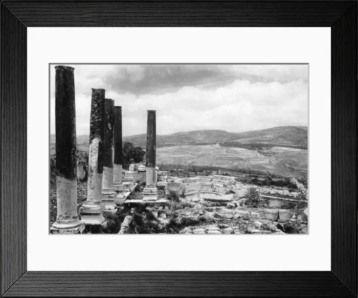 Framed Print : Ancient ruins at Samaria, West Bank Framed Print : Ancient ruins at Samaria, West Bank