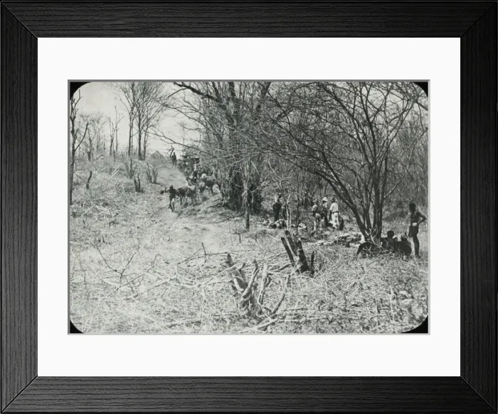Framed Print : Zimbabwe (Rhodesia) - Road cutting through bush Framed Print : Zimbabwe (Rhodesia) - Road cutting through bush
