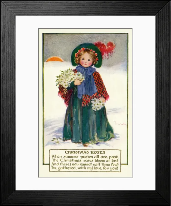 Framed Print : Christmas roses