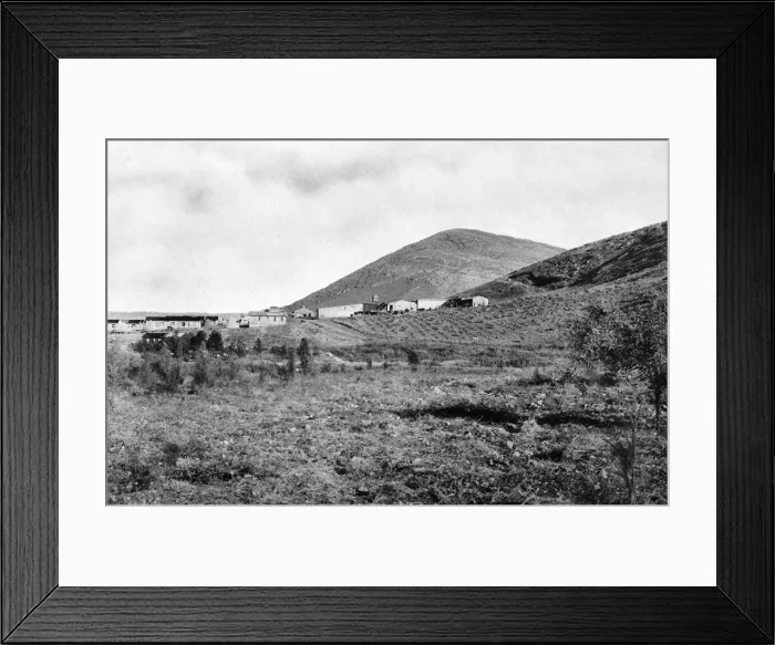 Framed Print : Ein Harod (Meuhad), Northern Israel Framed Print : Ein Harod (Meuhad), Northern Israel