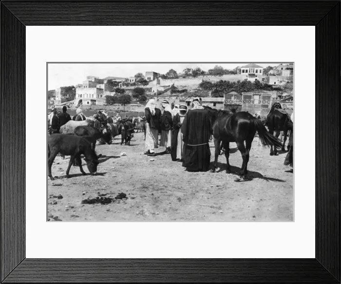 Framed Print : Horse market at Nazareth, Northern Israel Framed Print : Horse market at Nazareth, Northern Israel