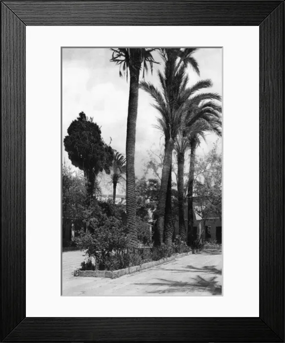 Framed Print : Outer court of mosque, Acre, Galilee, Northern Israel Framed Print : Outer court of mosque, Acre, Galilee, Northern Israel