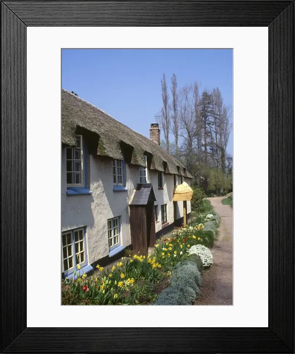 Framed Print : Thatched cottages at Dunster, Somerset Framed Print : Thatched cottages at Dunster, Somerset