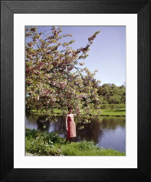 Framed Print : Woman standing by a river in springtime Framed Print : Woman standing by a river in springtime