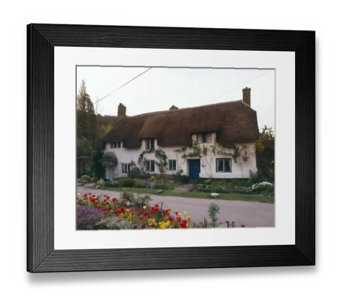 Framed Print : Thatched cottage at Dunster, Somerset