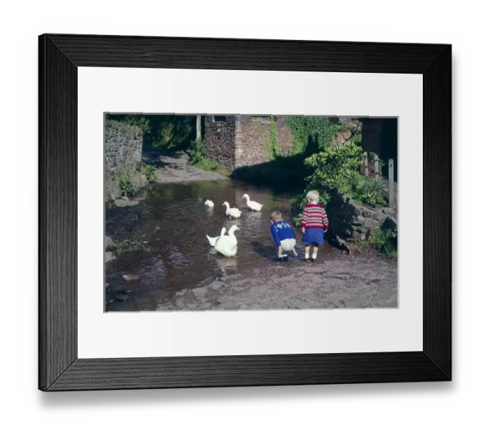 Framed Print : Two boys with geese, Allerford, Somerset Framed Print : Two boys with geese, Allerford, Somerset