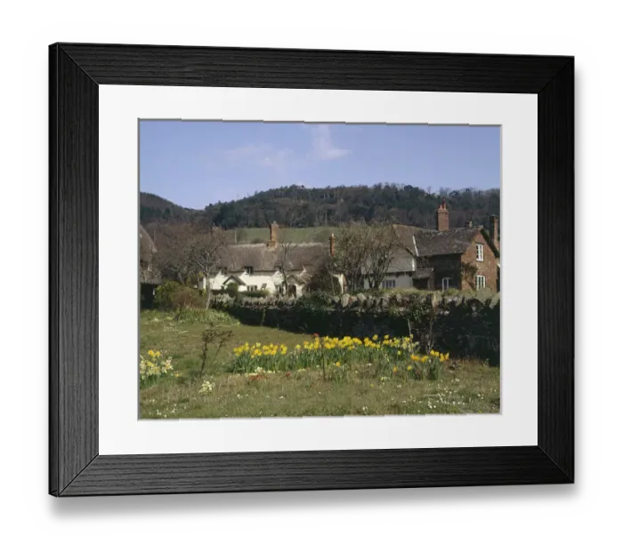 Framed Print : Thatched cottages, Selworthy, Somerset Framed Print : Thatched cottages, Selworthy, Somerset