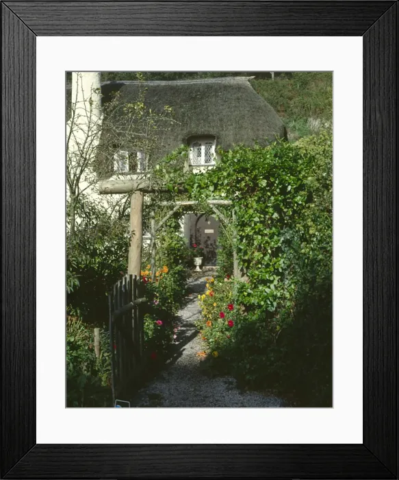 Framed Print : Thatched cottage and garden, Selworthy, Somerset Framed Print : Thatched cottage and garden, Selworthy, Somerset