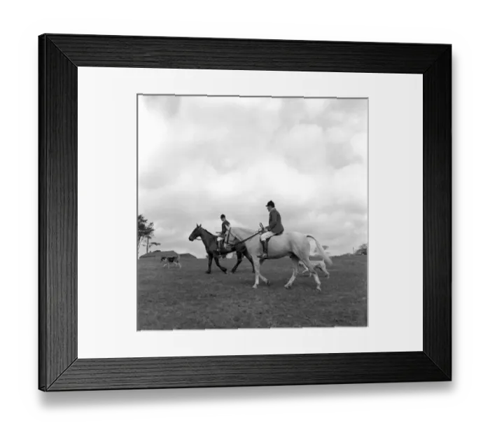 Framed Print : Hunt members, horses and dogs in a field Framed Print : Hunt members, horses and dogs in a field