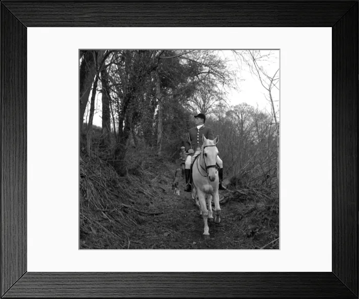 Framed Print : Huntsman on a white horse, West Country Framed Print : Huntsman on a white horse, West Country