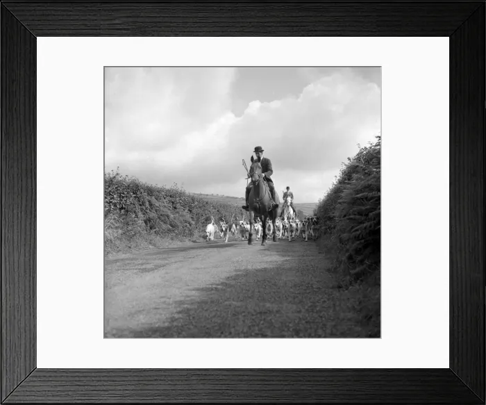 Framed Print : Devon and Somerset staghounds on a country lane Framed Print : Devon and Somerset staghounds on a country lane