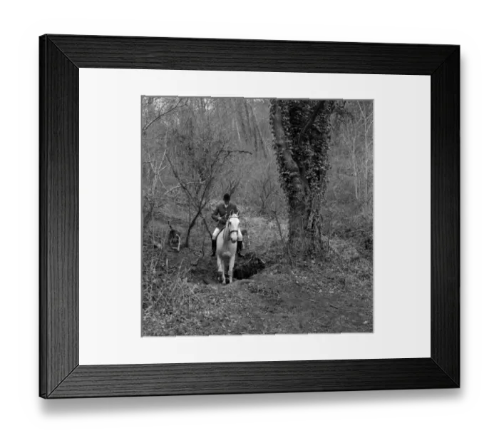 Framed Print : Huntsman on a white horse in a wood, West Country Framed Print : Huntsman on a white horse in a wood, West Country