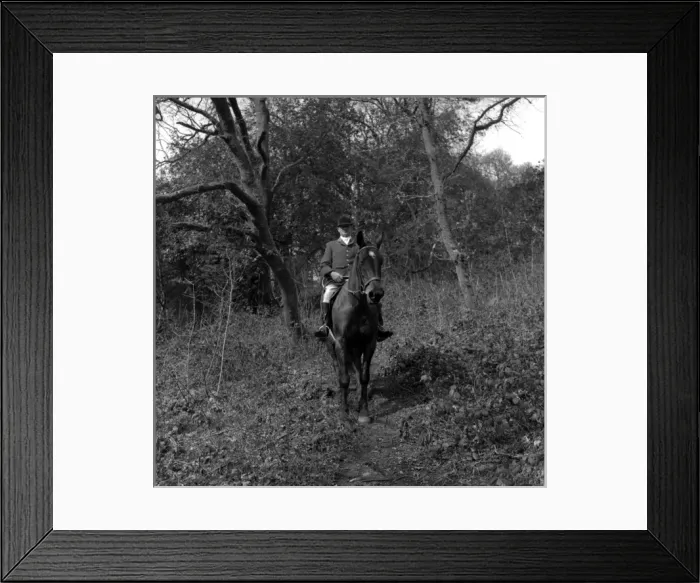 Framed Print : Huntsman on horseback in a wood, West Country Framed Print : Huntsman on horseback in a wood, West Country