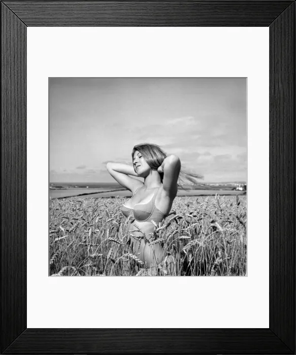 Framed Print : Model in a cornfield Framed Print : Model in a cornfield
