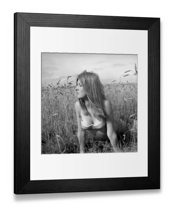 Framed Print : Model in a cornfield Framed Print : Model in a cornfield