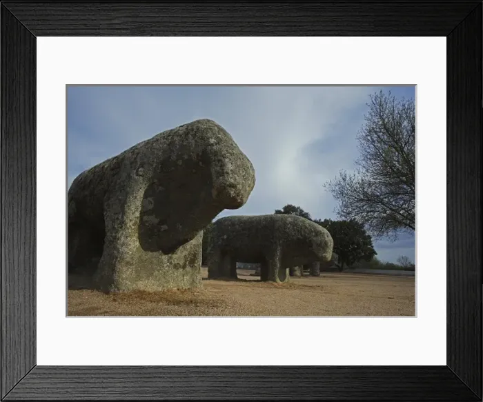 Framed Print : Bulls of Guisando Framed Print : Bulls of Guisando
