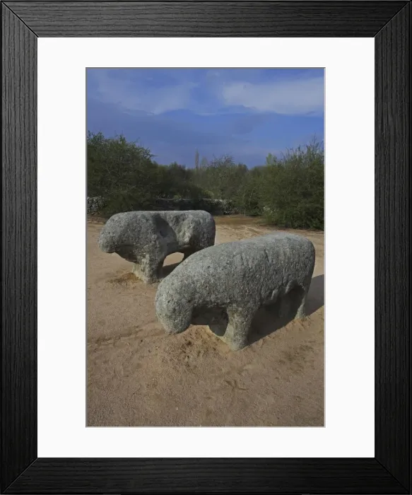 Framed Print : Bulls of Guisando Framed Print : Bulls of Guisando