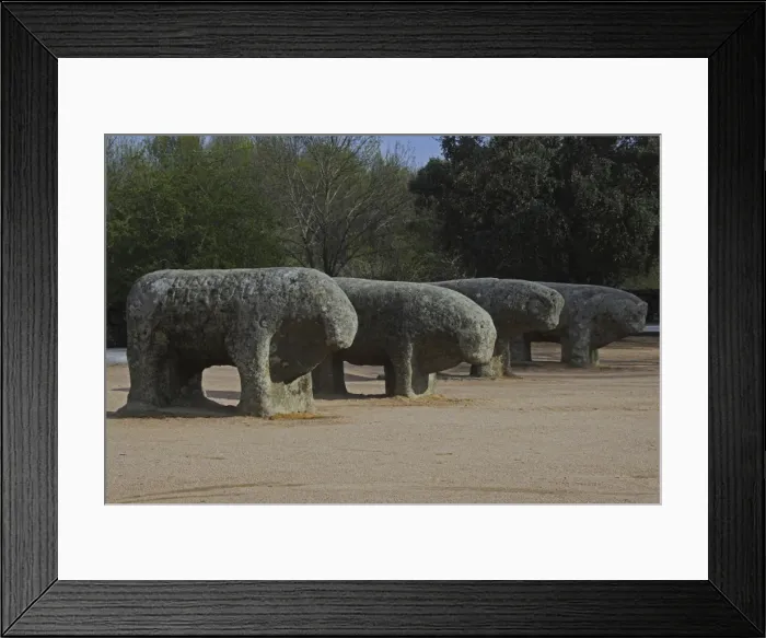 Framed Print : Bulls of Guisando Framed Print : Bulls of Guisando