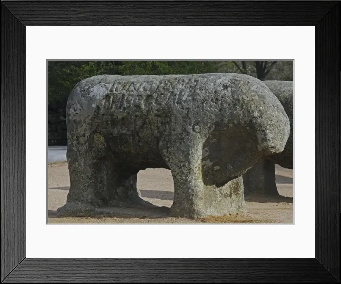 Framed Print : Bulls of Guisando Framed Print : Bulls of Guisando