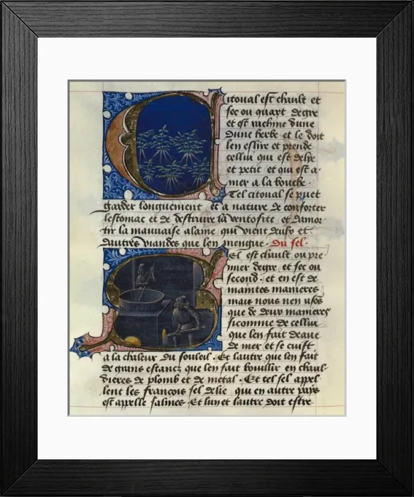 Framed Print : FIRENZE, Aldebrando da. Treaty of Medicine, 1356 Framed Print : FIRENZE, Aldebrando da. Treaty of Medicine, 1356