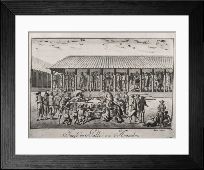 Framed Print : Expedition of Malaspina. Acapulco. Cock fightings Framed Print : Expedition of Malaspina. Acapulco. Cock fightings