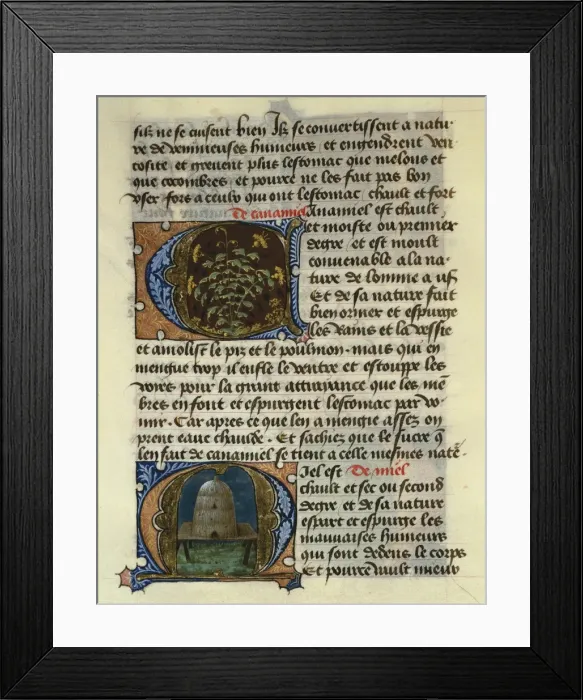 Framed Print : FIRENZE, Aldebrando da. Treaty of Medicine, 1356 Framed Print : FIRENZE, Aldebrando da. Treaty of Medicine, 1356