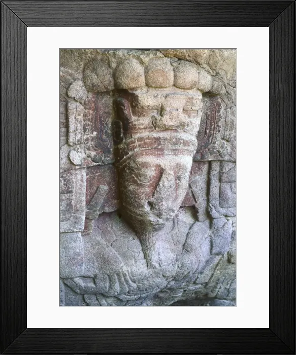 Framed Print : Guatemala. QuiriguᮠMaya Zoomorph Framed Print : Guatemala. QuiriguᮠMaya Zoomorph