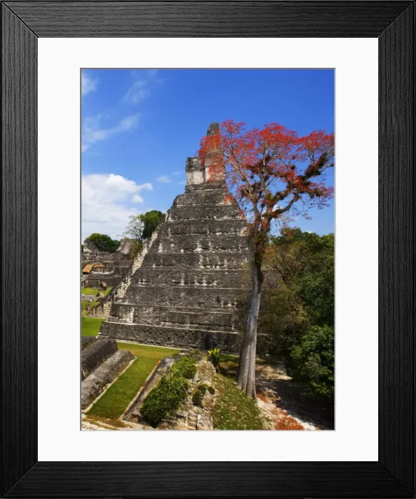 Framed Print : Guatemala. Tikal. Maya Art Framed Print : Guatemala. Tikal. Maya Art