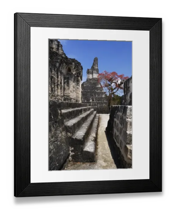 Framed Print : Guatemala. Tikal. Maya Art Framed Print : Guatemala. Tikal. Maya Art