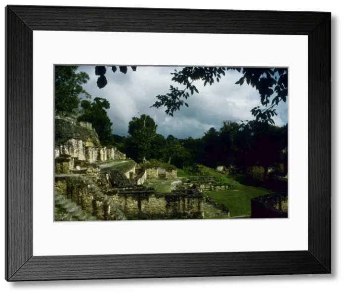 Framed Print : Guatemala. Tikal. Maya Art Framed Print : Guatemala. Tikal. Maya Art