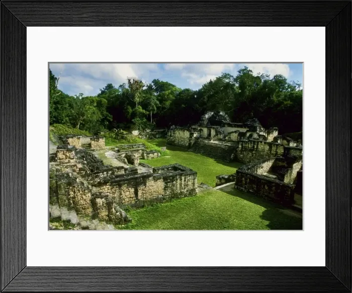 Framed Print : Guatemala. Tikal. Maya Art Framed Print : Guatemala. Tikal. Maya Art