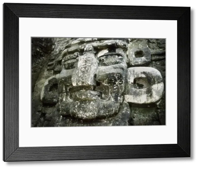 Framed Print : Guatemala. Tikal. Maya Art Framed Print : Guatemala. Tikal. Maya Art