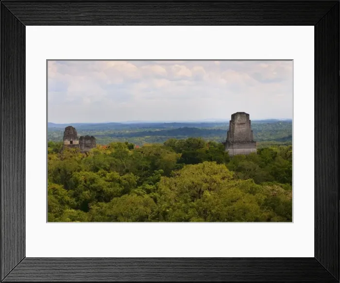 Framed Print : Guatemala. Tikal. Tikal National Park Framed Print : Guatemala. Tikal. Tikal National Park
