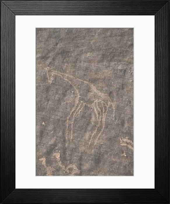 Framed Print : Libya. Tadrart Acacus. Archaeology Framed Print : Libya. Tadrart Acacus. Archaeology