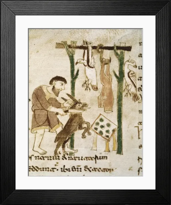 Framed Print : Rabanus Maurus. De Rerum Naturis, 11th c Framed Print : Rabanus Maurus. De Rerum Naturis, 11th c