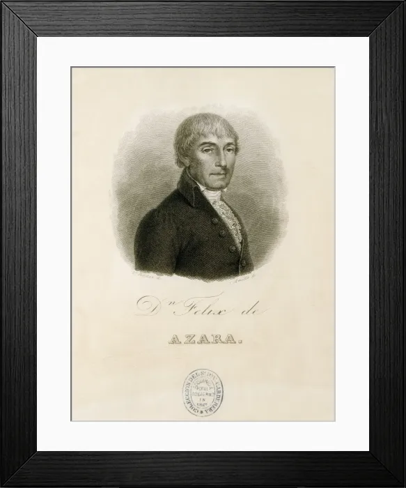 Framed Print : AZARA, F鬩x de (1746-1821). Spanish explorer, naturalist Framed Print : AZARA, F鬩x de (1746-1821). Spanish explorer, naturalist
