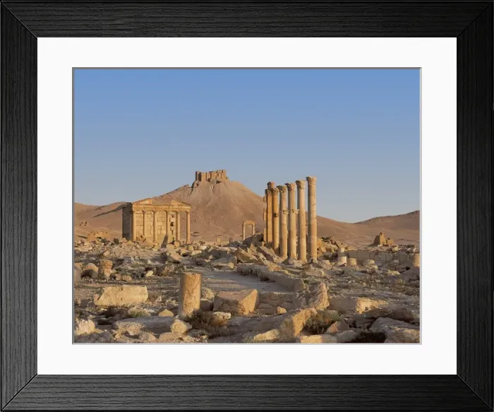 Framed Print : SYRIA. Palmira. Great Colonnade. In the background Framed Print : SYRIA. Palmira. Great Colonnade. In the background