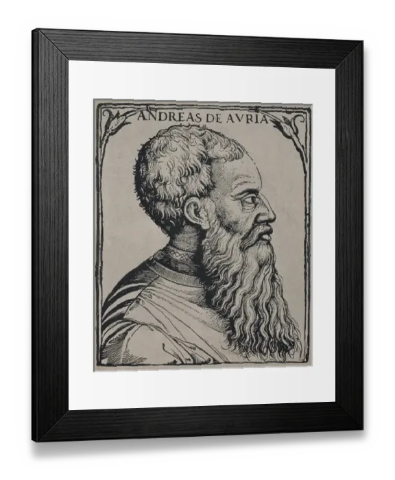 Framed Print : DORIA, Andrea (1466-1560). Italian condottiero Framed Print : DORIA, Andrea (1466-1560). Italian condottiero