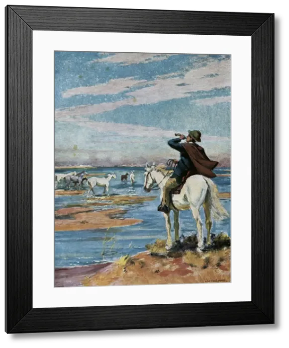 Framed Print : MISTRAL, Fr餩ric (1830-1914). French writer Framed Print : MISTRAL, Fr餩ric (1830-1914). French writer