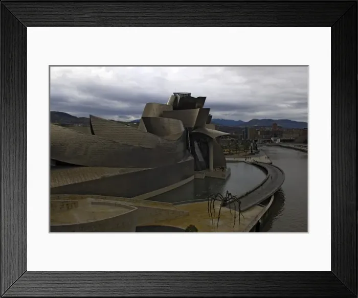Framed Print : SPAIN. Bilbao. Guggenheim Museum Bilbao. Exterior Framed Print : SPAIN. Bilbao. Guggenheim Museum Bilbao. Exterior