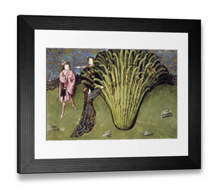 Framed Print : IBN BUTLAN, Abu-l Hasan al-Mujtar (c. 1001 - 1066)