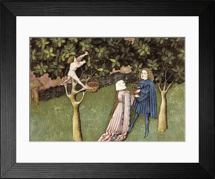 Framed Print : IBN BUTLAN, Abu-l Hasan al-Mujtar (c. 1001 - 1066) Framed Print : IBN BUTLAN, Abu-l Hasan al-Mujtar (c. 1001 - 1066)