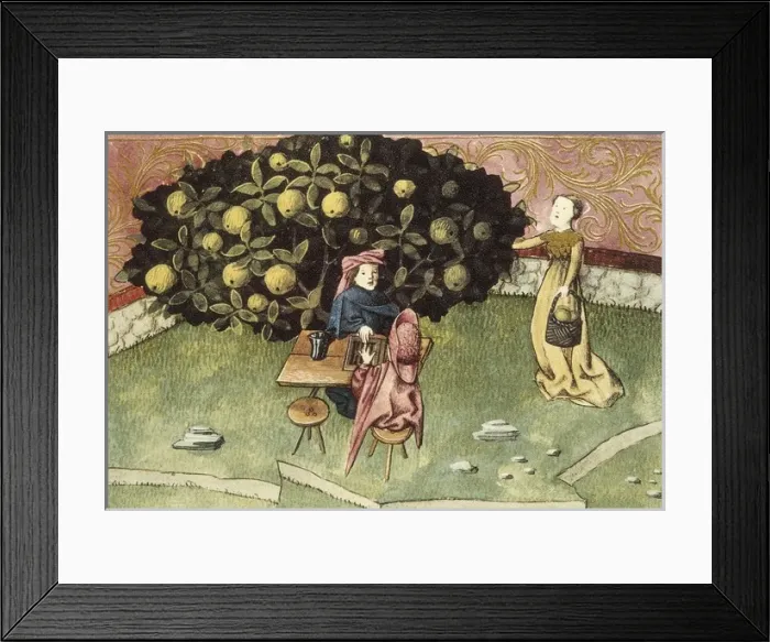 Framed Print : IBN BUTLAN, Abu-l Hasan al-Mujtar (c. 1001 - 1066) Framed Print : IBN BUTLAN, Abu-l Hasan al-Mujtar (c. 1001 - 1066)
