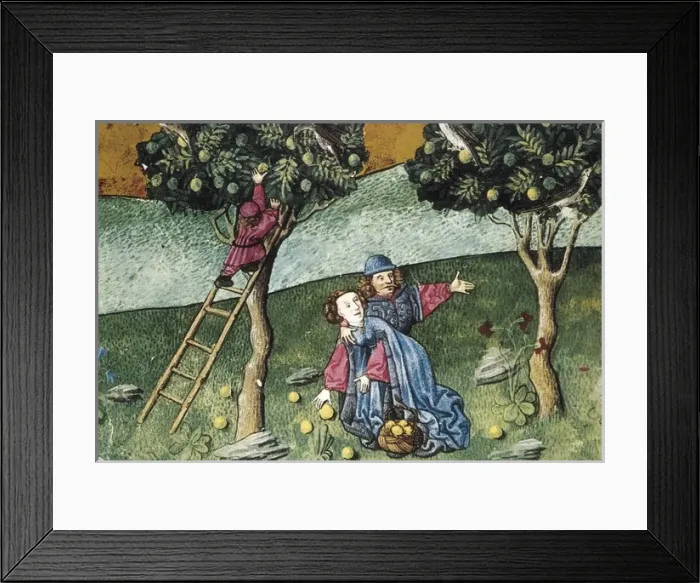 Framed Print : IBN BUTLAN, Abu-l Hasan al-Mujtar (c. 1001 - 1066) Framed Print : IBN BUTLAN, Abu-l Hasan al-Mujtar (c. 1001 - 1066)