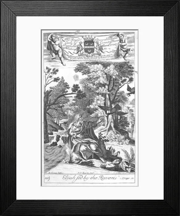 Framed Print : Elijah fed by the raves Framed Print : Elijah fed by the raves