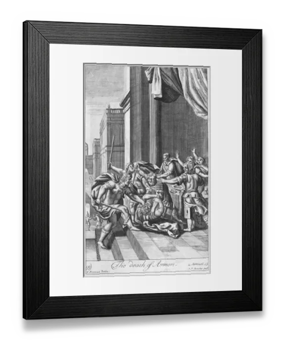 Framed Print : David Amnon?? Framed Print : David Amnon??