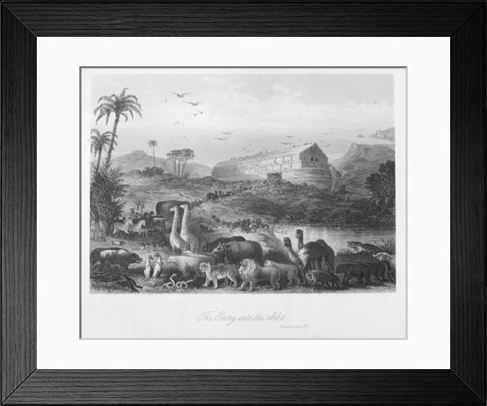 Framed Print : Entry into the ark Framed Print : Entry into the ark
