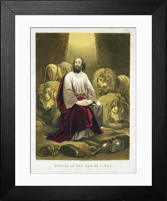 Framed Print : Daniel in the lions den Very docile lions Colour Framed Print : Daniel in the lions den Very docile lions Colour