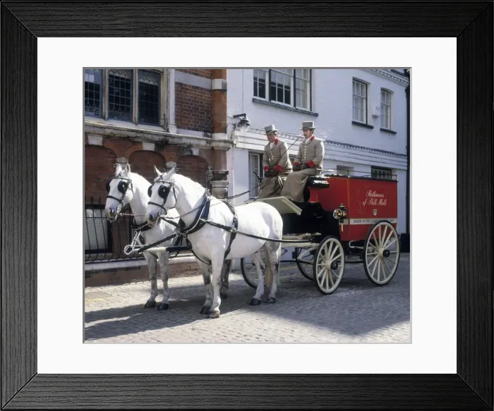 Framed Print : Rothmans Harness Team Framed Print : Rothmans Harness Team