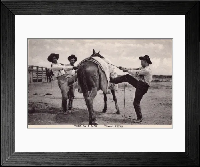 Framed Print : Tying on a pack, Toyah, Texas, USA Framed Print : Tying on a pack, Toyah, Texas, USA